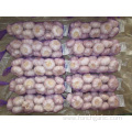 Packed  in 1kg bag Normal White Garlic